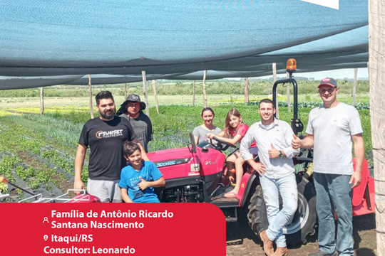 Entrega yanmar agendado %284%29