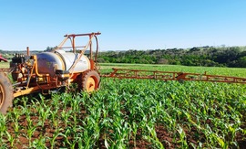 Whatsapp image 2025 09 24 at 11.15.56 %281%29