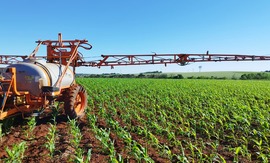 Whatsapp image 2025 09 24 at 11.15.58 %281%29